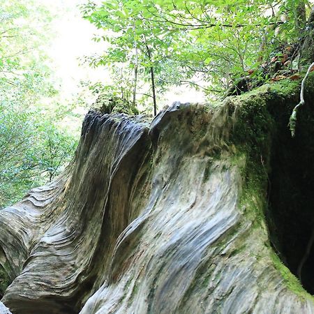 Miyanouraso Hotel Yakushima  Eksteriør billede